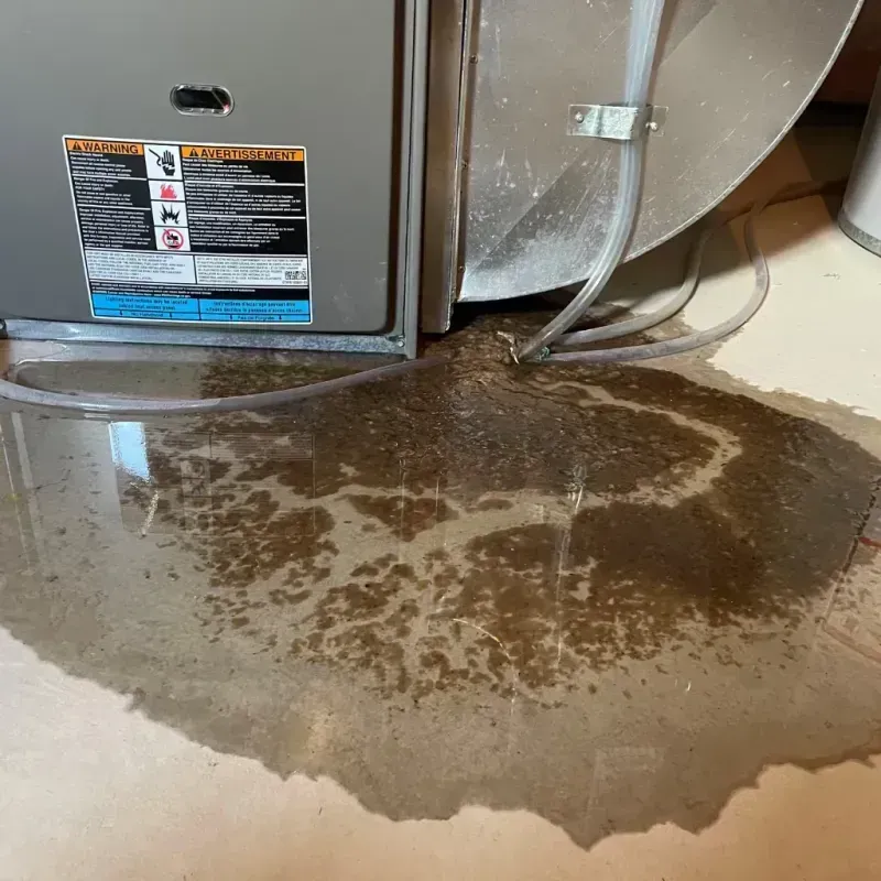 Appliance Leak Cleanup in Park City, TN